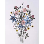 Etchings of Flowers